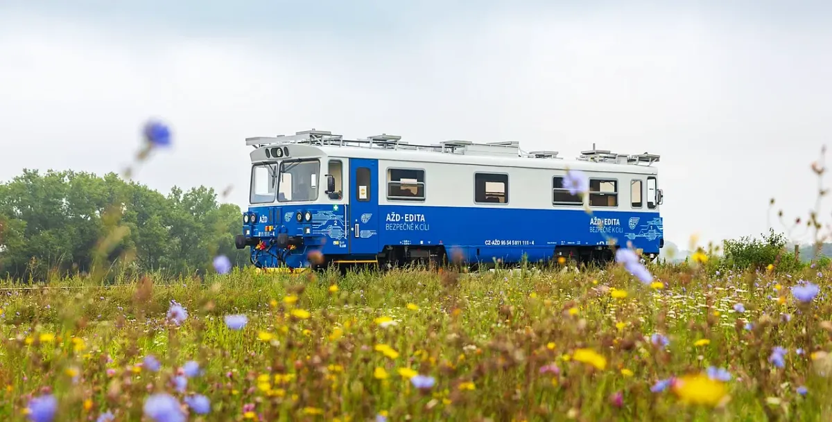 Anmeldung Regionalbahn-Workshop "Zug der Zukunft"